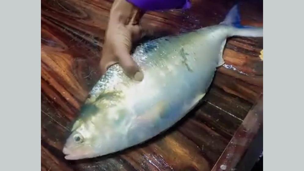 সংযুক্ত ছবি